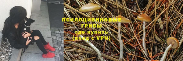 apvp Нефтекумск